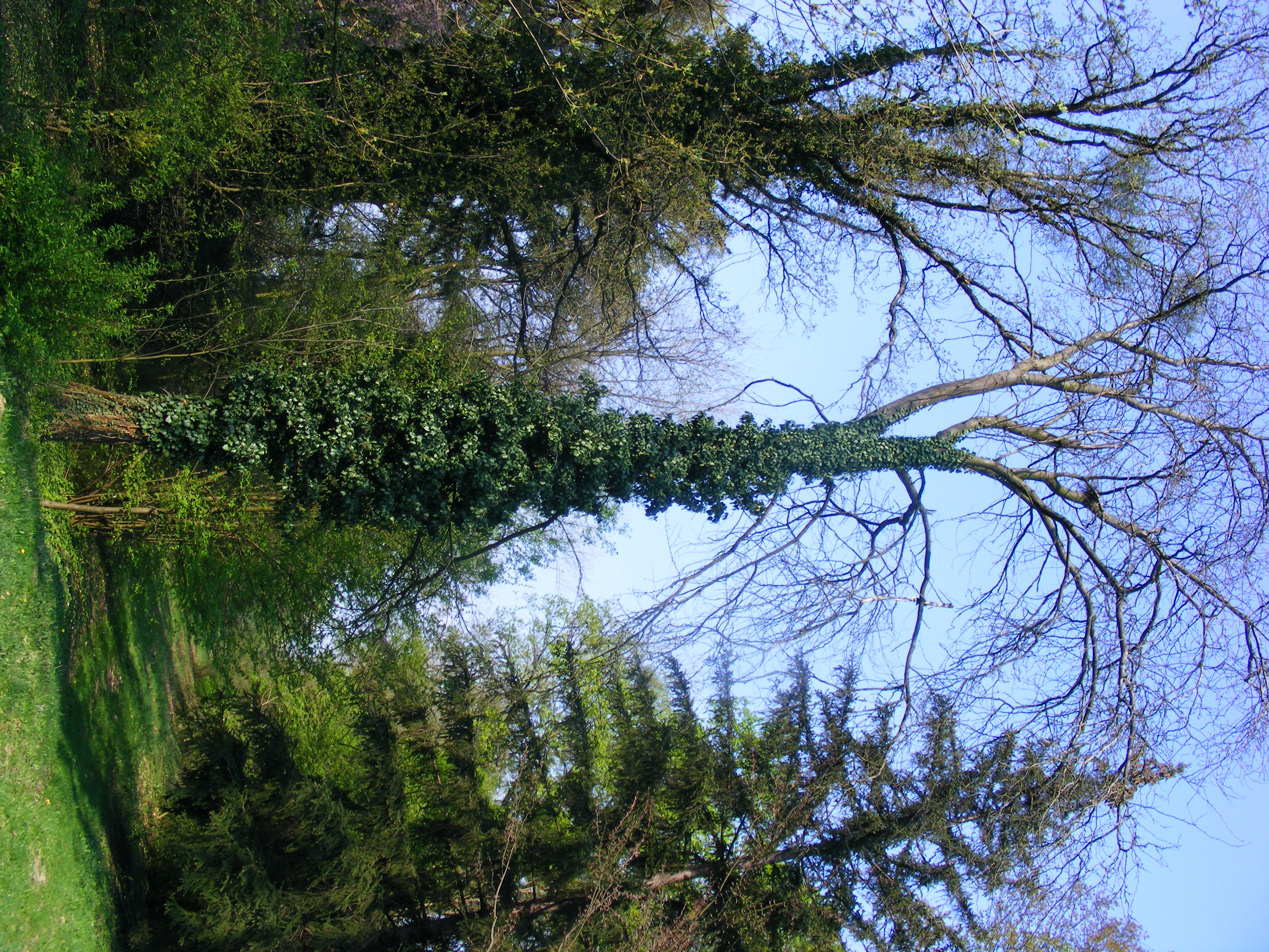 Obrázok 062.jpg